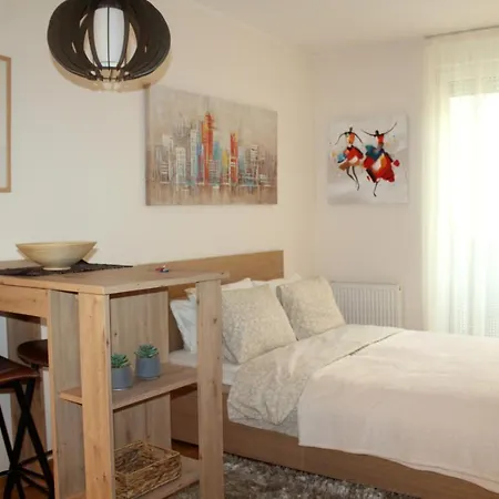 Apartment Downtown Novi Sad