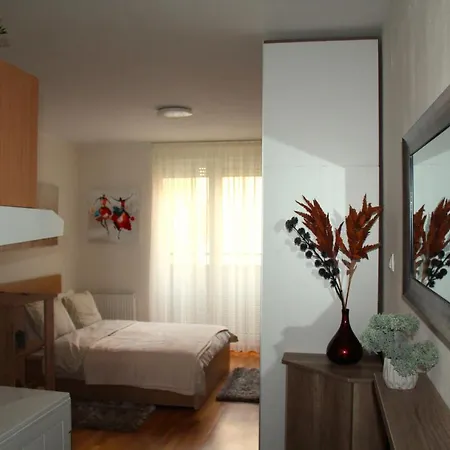 Downtown Apartment Novi Sad
