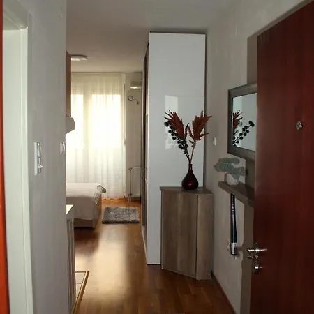 Downtown نوفي ساد