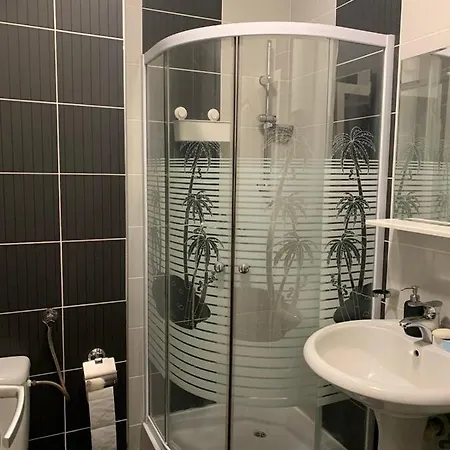 Downtown * 노비사드